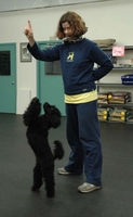 canine freestyle in nashville, tennessee